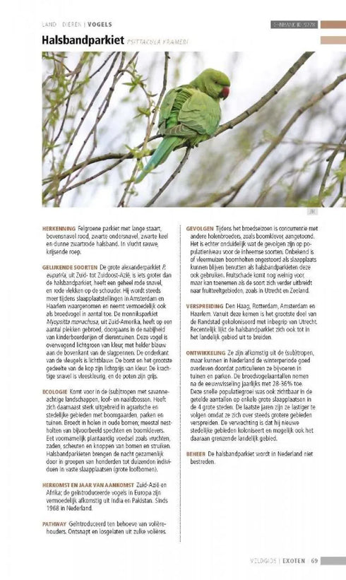 Veldgids Exoten -  Leewis,R. ym 2013